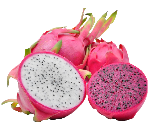 Exotic Dragon Fruit