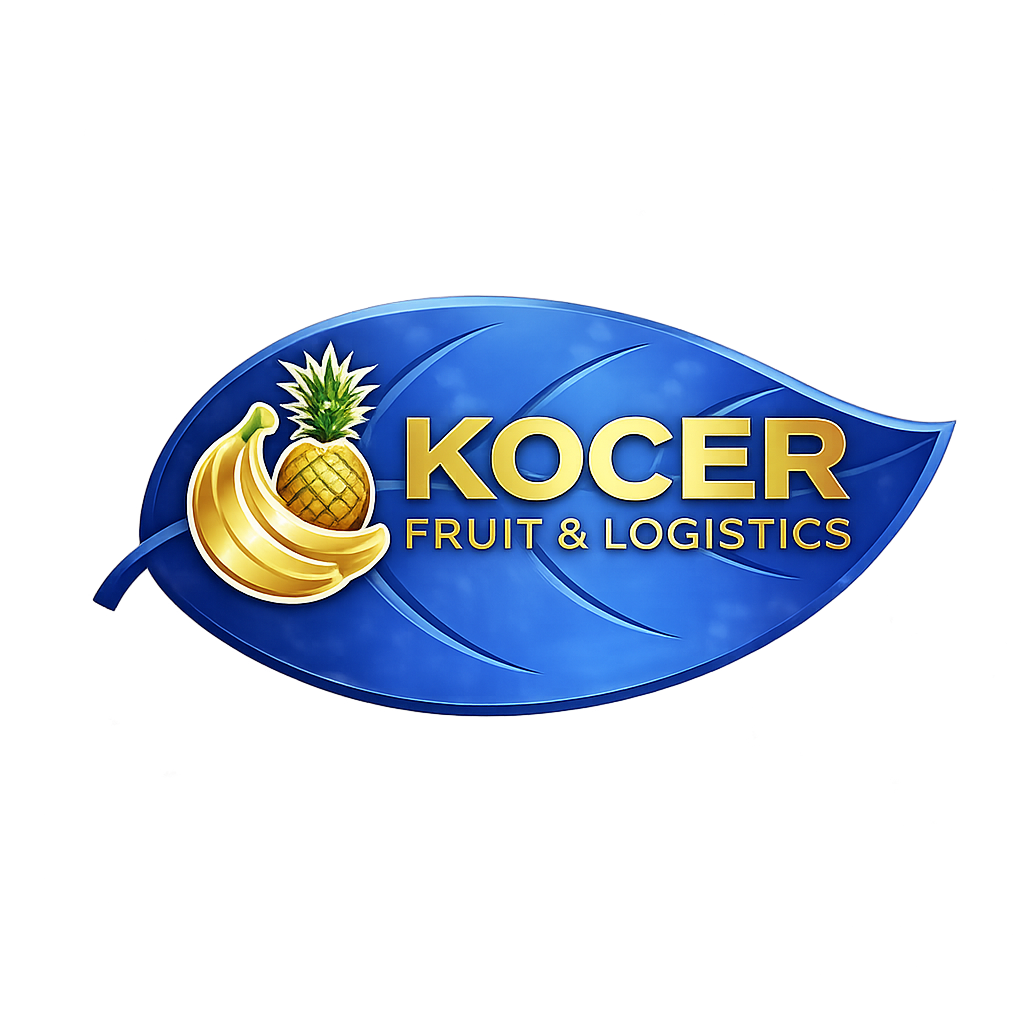 KOCER FRUIT